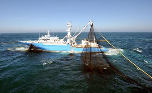 Un thonier retire son filet de l'eau durant une sortie en mer au large de Concarneau, le 2 juin 2009.