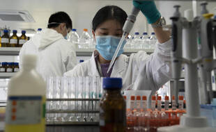 Le laboratoire de Sinovac dédié aux recherches sur le vaccin CoronaVac, à Pékin le 24 septembre 2020.