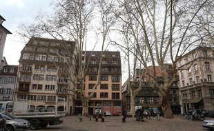 Place du Marché neuf à Strasbourg le 13 mars 2019.