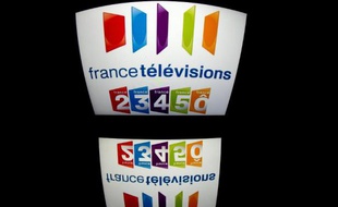Le CSA a annoncé mercredi avoir reçu 33 candidatures pour le poste de président de France Télévisions, sans dévoiler leur nom, un nombre élevé au regard de la dizaine de candidats officiellement déclarés.