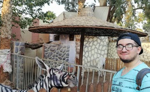 Mahmoud A. Sarhan soupçonne un zoo du Caire d'avoir peint un âne en zèbre.