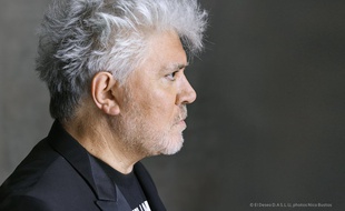 Pedro Almodóvar, président du jury