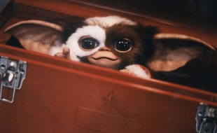 Image extraite des «Gremlins» de Joe Dante, sorti en 1984.
