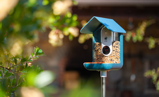 Une mangeoire à oiseaux intelligente récolte plus de 3 millions sur Kickstarter