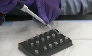 Dans un laboratoire de police scientifique lors d'une analyse ADN