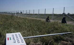 Le grillage qui sépare la Hongrie et la Serbie près d'Asotthalom, le 24 août 2015.