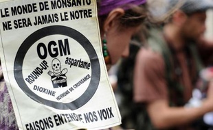Manifestation contre Monsanto, le 23 mai 2015 à Toulouse