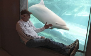 Ric O'Barry au musée de la Baleine de Taiji, au Japon, le 16 septembre 2015.