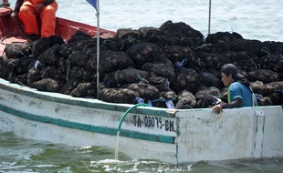 Un bateau de pêcheurs dans la région de Piura, au Nord du Pérou.
( illustration ).