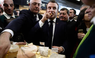 Emmanuel Macron mangeant des fromages au Salon de l'agriculture en 2020 (illustration).