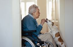 Peut-on garder son animal en EHPAD ? Ce que dit la nouvelle loi