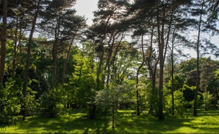 Illustration du parc de Parilly à Bron.