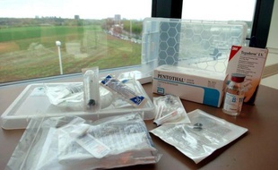 Les Pays-Bas puis la Belgique ont été les premiers pays au monde à légaliser l'euthanasie en 2002 : dix ans après, elle y est pratiquée sur plus de 4.000 patients chaque année, principalement atteints de cancers, mais aussi, de plus en plus, de maladies d'Alzheimer à un stade avancé.
