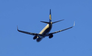 Un avion de la compagnie Ryanair.
