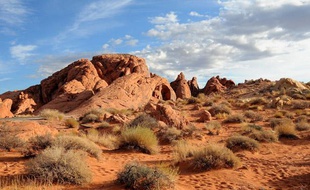 Le désert de Mojave à l'Ouest des Etats-Unis.