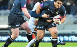 Le Samoan a prolongé fin janvier son contrat avec le Stade, jusqu'en 2014.