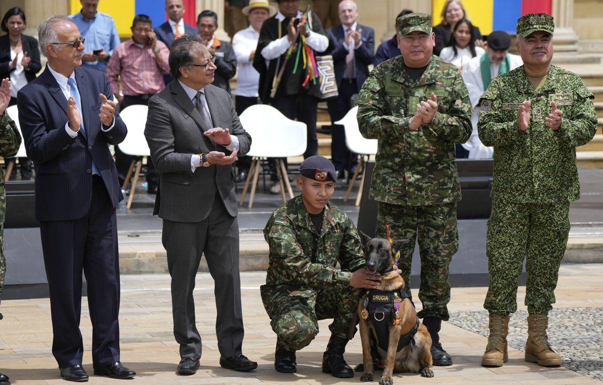 Enfants rescapés en Colombie : Une médaille pour les soldats et indigènes ayant participé aux recherches