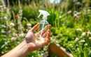 Un jardin sans moustiques tout l’été, c’est possible avec cette potion miracle que personne ne connaît