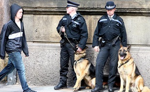 Des policiers anglais et leurs chiens, le 17 avril 2008 à Londres.