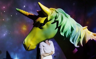 Une licorne (illustration)