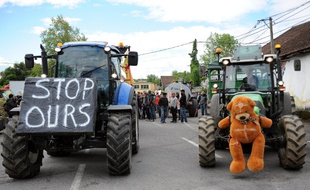 Lors d'une manifestation contre les ours en Béarn (archives).