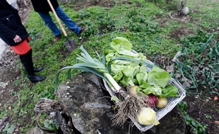 L'association Ecos propose à des jardiniers amateurs de cultiver leurs légumes chez des personnes âgées qui ne sont plus en mesure d'entretenir leur terrain