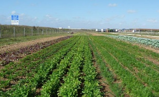 Le Jardin de la Voie romaine, à but de réinsertion sociale, est implanté le long de l'autoroute A19.