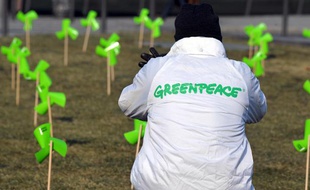 Un militant de l'association Greenpeace.