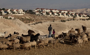 Illustration de la colonie israélienne de Maale Adumim, près de Jerusalem, le 6 décembre 2012.