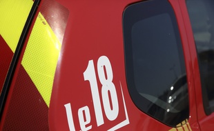 Un camion de pompiers et pompières. (illustration)