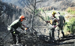 La responsabilité de l'incendie pourrait incomber à toute la chaîne de commandement.