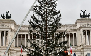 Le sapin en question.