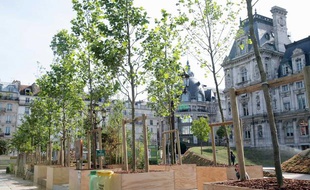 Jardin éphémère devant l'Hotel de Ville de Paris, en juin 2011.