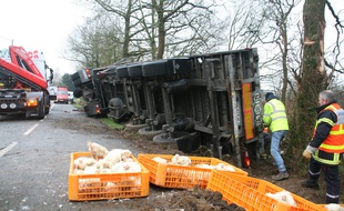 Un camion transportant des poulets a fait une sortie de route