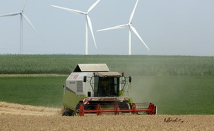 Illustration d'agriculture