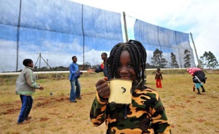 L'eau est inégalement répartie en Afrique du Sud et pour les enfants de Tshiavha, c'est jour de fête quand le brouillard pointe et vient déposer ses fines gouttelettes dans le filet de l'école.