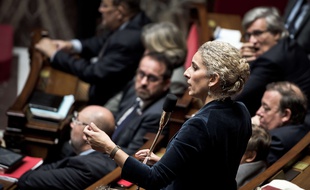 Delphine Batho à l'Assemblée nationale, le 25 octobre 2017.