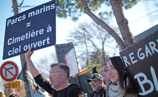 Des militants dénoncent la captivité des cétacés devant le parc Marineland, le 18 décembre 2016
