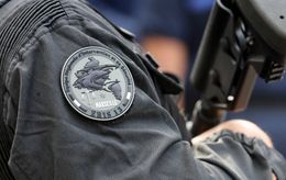 DZ Mafia, un gang de narcotrafiquants qui s’étend et se diversifie