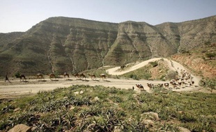 Un mouvement rebelle a affirmé détenir deux touristes allemands, dont il assure qu'ils sont "en bonne santé", à la suite d'une attaque ayant causé la mort de cinq autres touristes européens la semaine dernière dans le nord-est désertique de l'Ethiopie.