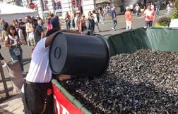 Des bancs en coquilles de moules installés à Lille