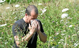 La pollinisation des graminées devrait durer jusqu'à la mi-juillet dans la région lyonnaise.