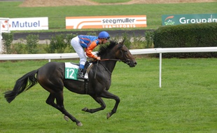 Dix courses sont prévues à l'hippodrome de Hoerdt le 16 mai (archives).