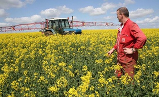 Les agriculteurs français retrouvent le sourire après une année 2009 noire