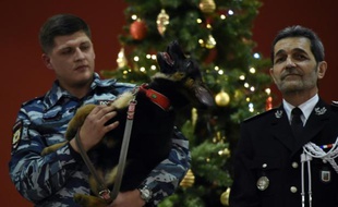 Un officier de police russe tient un chiot berger allemand lors d'une cérémonie organisée à l'ambassade en présence de militaires russes et français à Moscou, le 7 décembre 2015
