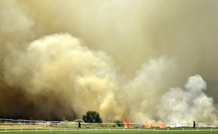 Les nombreux incendies ont engendré des fumées toxiques en Australie. Ici, près de Perth, le 13 décembre 2019.