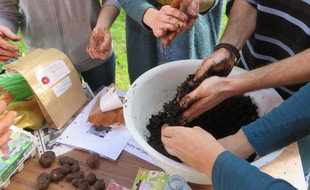 Réalisation de "seed bombs" lors d'un atelier organisé sur le campus du Mirail par l'association Partageons les Jardins.