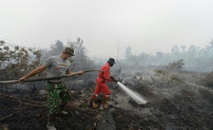 Des pompiers indonésiens luttent contre des incendies à Rimbo Panjang, dans la province du Riau, le 15 septembre 2015