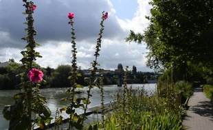 Les bords de la Marne, au Perreux-sur-Marne près de Paris, le 14 août 2014
