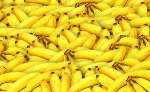Des bananes. Illustration.